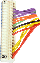 wc greenstar junior st9 conn upto fd987.gif